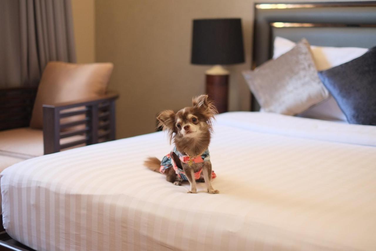 Grand Mercure Bangkok Asoke Residence Екстер'єр фото